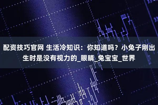 配资技巧官网 生活冷知识：你知道吗？小兔子刚出生时是没有视力的_眼睛_兔宝宝_世界