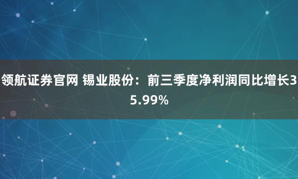 领航证券官网 锡业股份：前三季度净利润同比增长35.99%