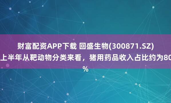 财富配资APP下载 回盛生物(300871.SZ)：上半年从靶动物分类来看，猪用药品收入占比约为80%